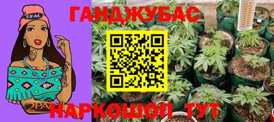 мдпв Гай