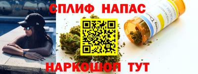 мдпв Гай