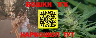 шишки Гатчина