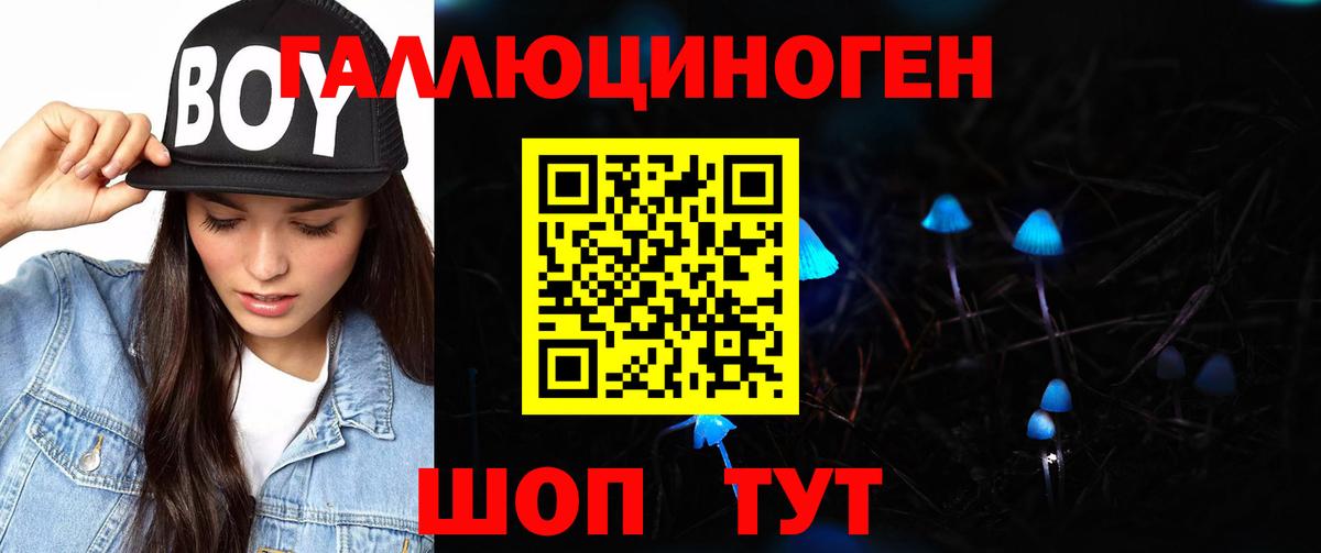 где продают наркотики  Псилоцибиновые грибы GOLDEN TEACHER  Галлюциногенные грибы MAGIC MUSHROOMS  Вход с VPN  Мелеуз 